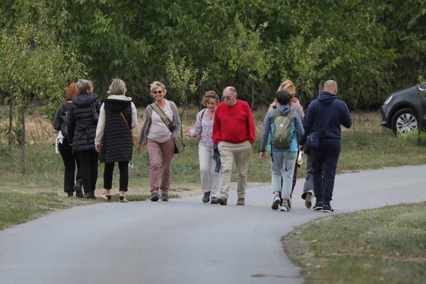 Zmajevac:  Vinski Bor maraton