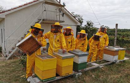 Smjer agronom sve popularniji: Nama su pčele, vinarstvo i masline dio nastavnog plana