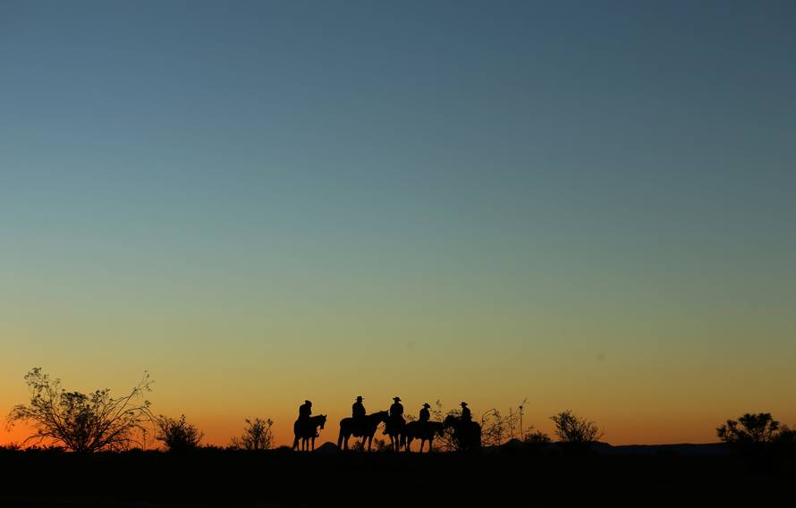 The Wider Image: Wild horse border patrol
