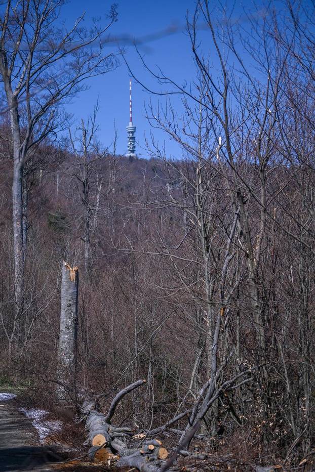 Zagreb: Posljedice olujnog nevremena na Sljemenu