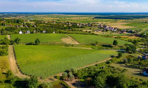 Odmor u Sisa&ccaron;ko-moslava&ccaron;koj &zcaron;upaniji vra&cacute;a dah  Priroda koja vas pokrene