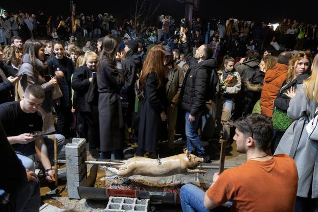 Anti-government protest over the fatal railway station roof collapse, in Belgrade