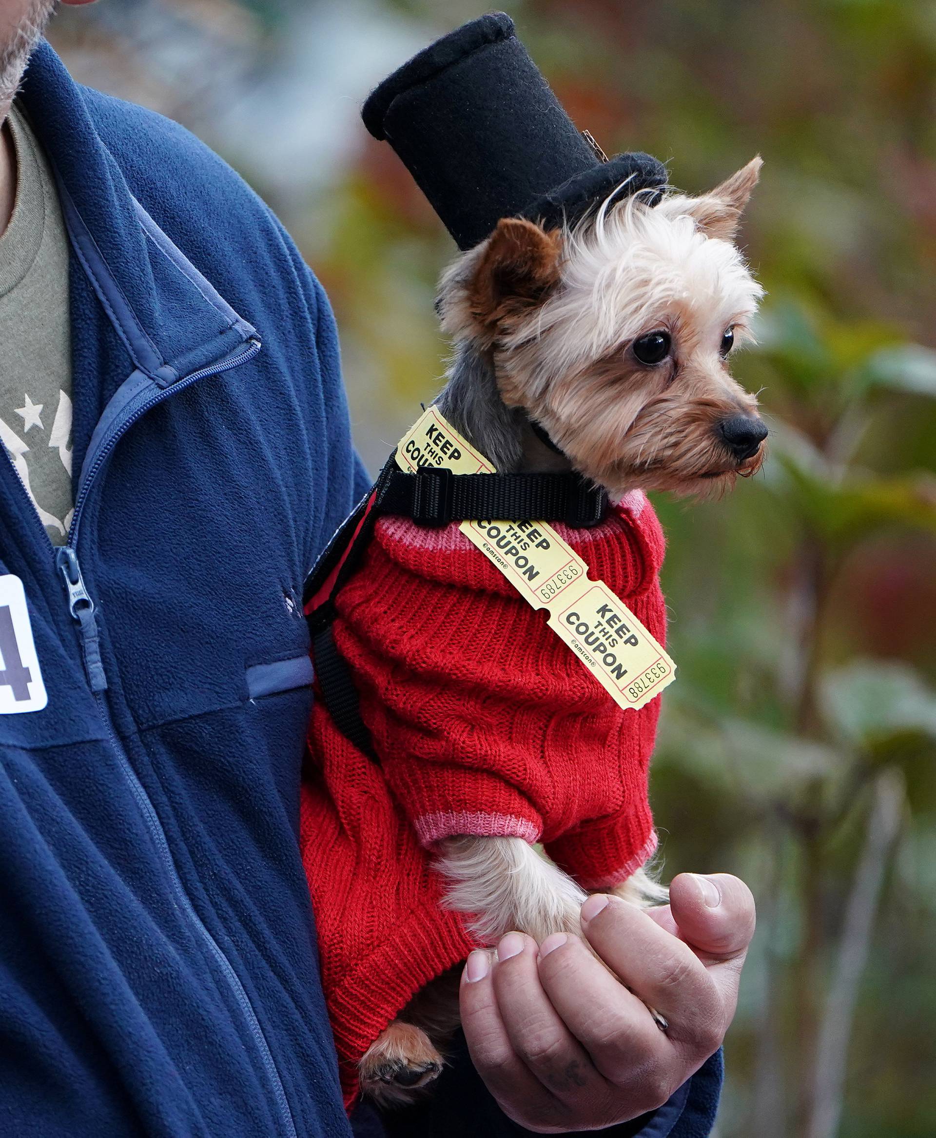 Dogs attend the Tompkins Square Park Halloween Dog Parade at East River Park in the Manhattan borough of New York City