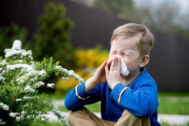 Child,With,Pollen,Allergy.,Boy,Sneezing,And,Blowing,Nose,Because