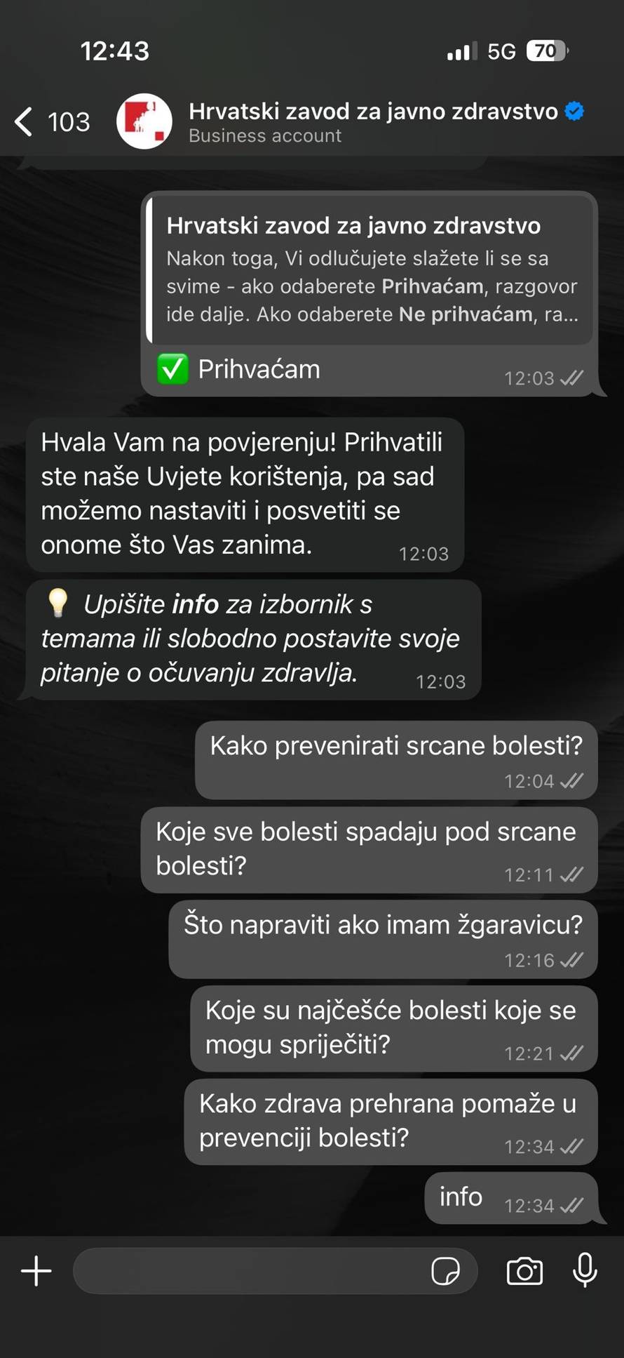 Ajme, majko! Testirali smo AI ZdrAVKA. Baš i ne radi svima...