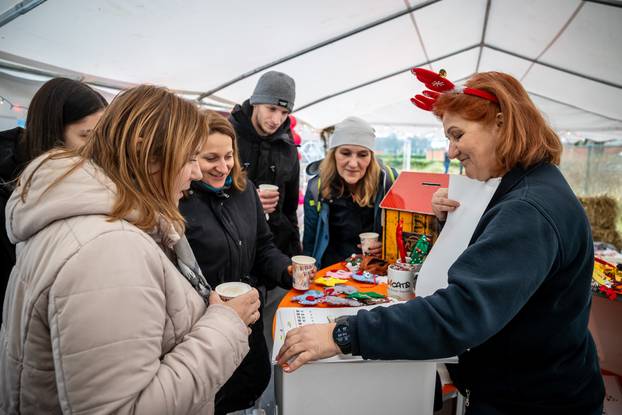 I psići vole advent: Preslatke fotke štenaca koji traže dom