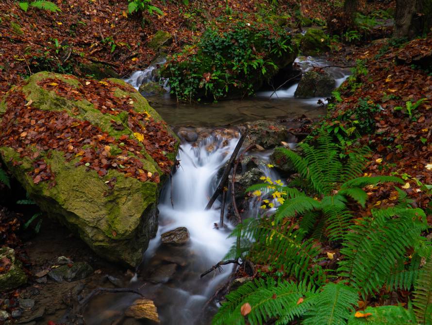 Izložba „Medvednica, neraskidiva veza sa Zagrebom“