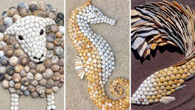 Stvara životinjske portrete od školjki koje pronađe na plaži