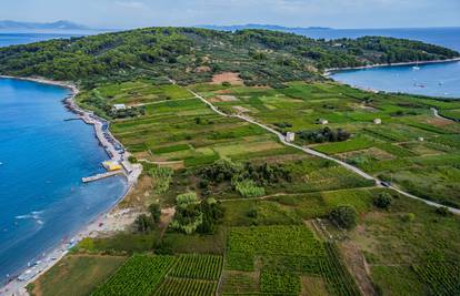 Na plaži Bilin Žal kod Lumbarde svatko će pronaći komadić raja