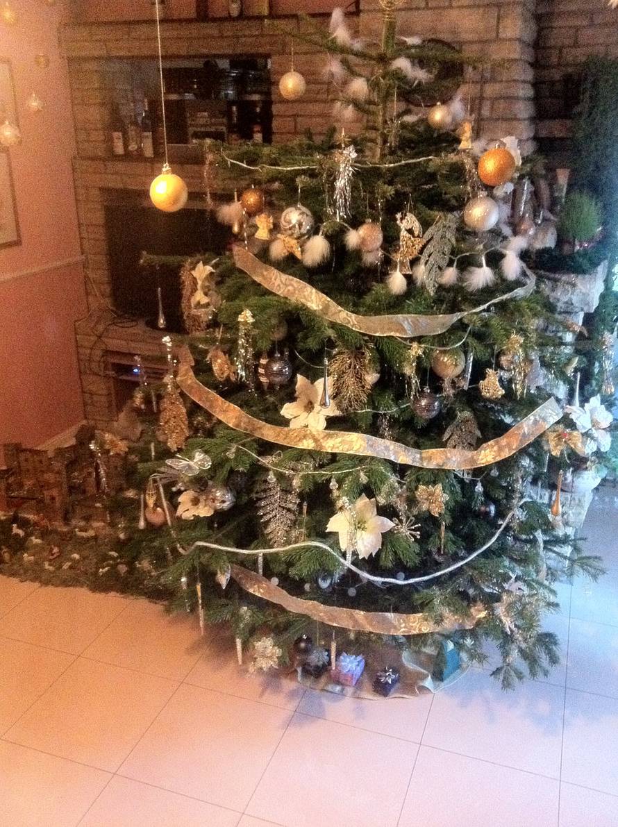 Šaljite fotografije božićnih jelki i osvojite vrijednu nagradu...