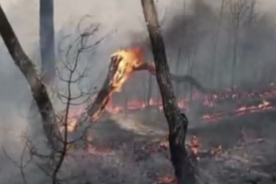 Spasilačke ekipe bore se s divljim požarima u šumama u blizini Atene