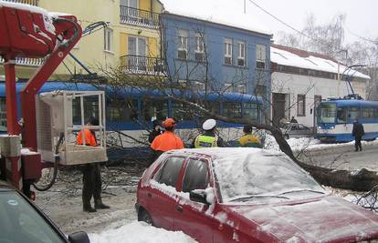 Osijek: Sjekli drvo pa se grana srušila na tramvaj