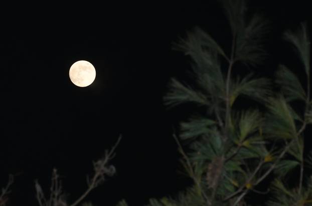 Dabrov mjesec iznad Siska