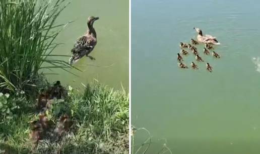 VIDEO Dramati&ccaron;no spa&scaron;avanje na Cmroku: '13 pa&ccaron;i&cacute;a upalo u &scaron;aht, nije bilo mjesta pogre&scaron;ci'