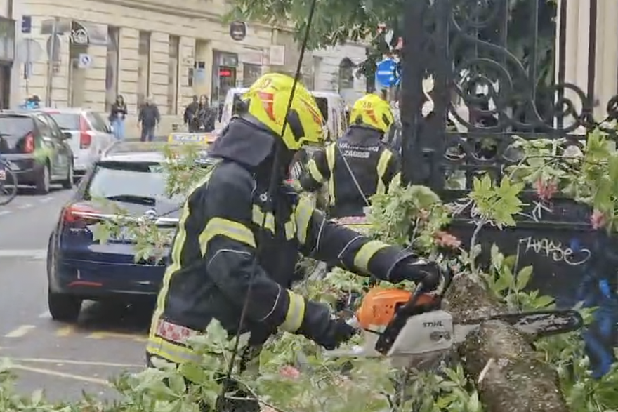 Srušilo se stablo kod arheološkog muzeja u Zagrebu