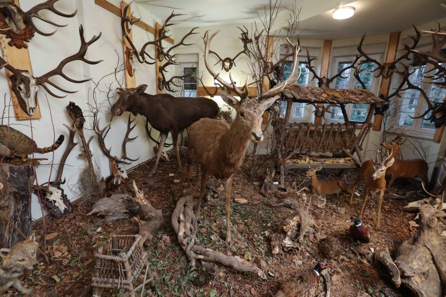 24SATA Izložba "100 godina hrvatskog lovstva" u Lovačkom muzeju