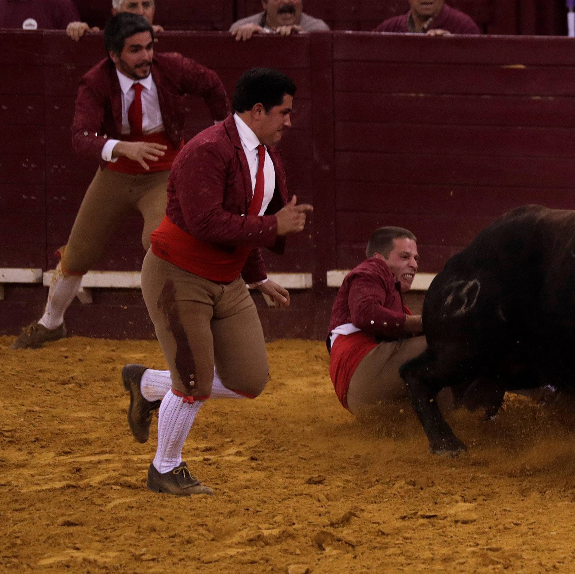 Members of Montemor forcados group perform during a bullfight at Campo Pequeno bullring in Lisbon