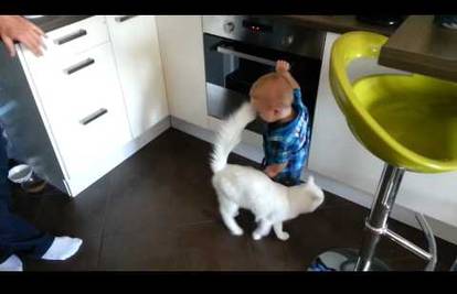 Ne pokušavajte ovo kod kuće: Mačka spasila dječaka od ...