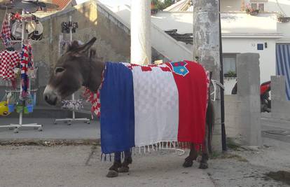 I magarica slavi: U kafiću ju ukrasili hrvatskom zastavom