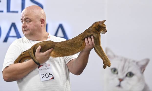 Zagreb: Međunarodna izložba mačaka WCF Cat Olimpia 2025