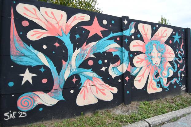 Koprivnica: Gradske površine obogaćene su novim muralima nakon Street Art Festivala