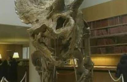 Pariz: 65 milijuna godina star dinosaurus na prodaju