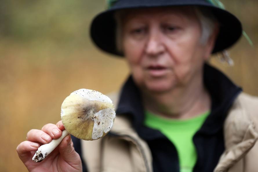 'Gljive mogu biti kobne. Spasila sam već najmanje 40 života... '