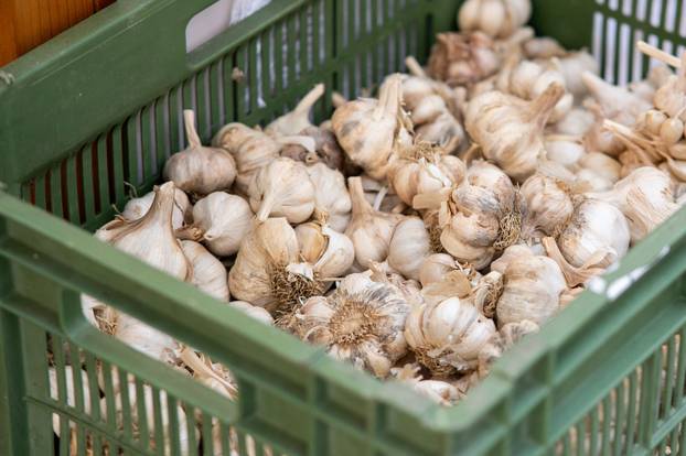 Zagreb: Manifestacija "100% Zagorsko" na Europskom trgu