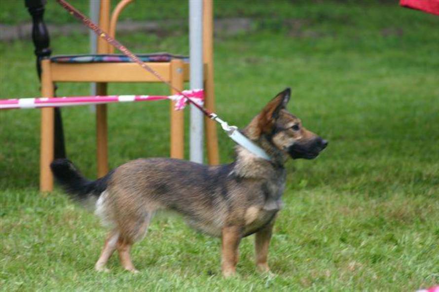 24ljubimci/Fotografije čitatelja