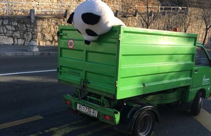 Završio je u smeću: Jadni moj panda, eto vidiš što ti je život