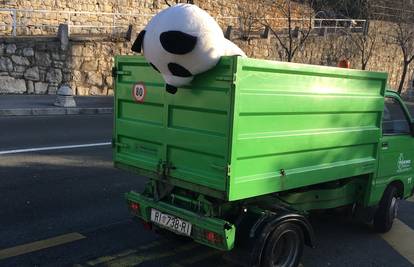 Završio je u smeću: Jadni moj panda, eto vidiš što ti je život