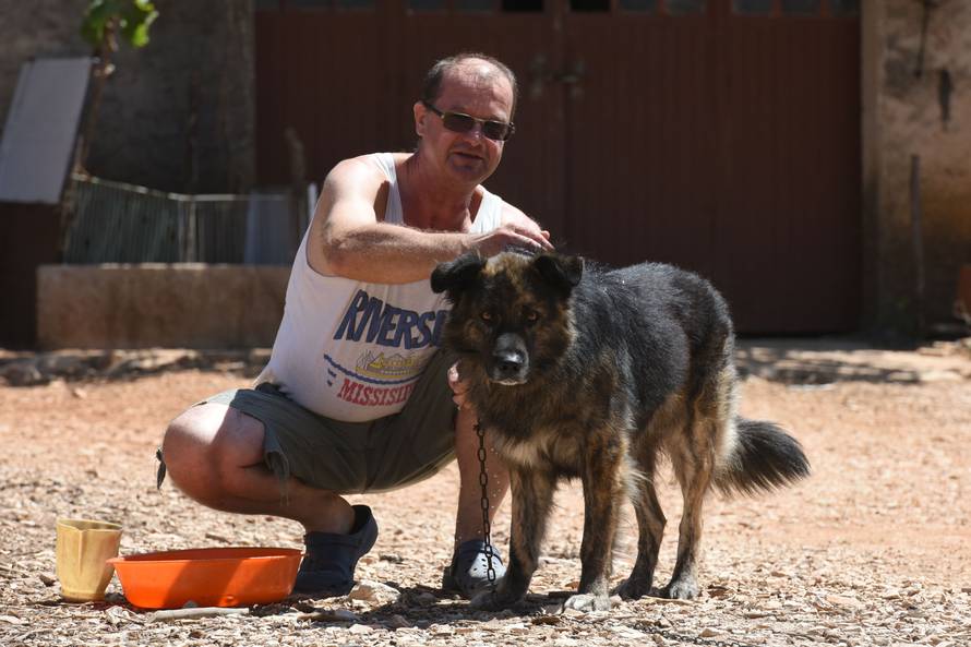 Dao 25.000 kn za vještačenje Mede, a ništa se nije provelo