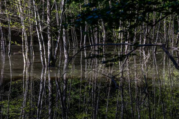 Ilegalno odlagalište otpada u Dubravi Pušćanskoj