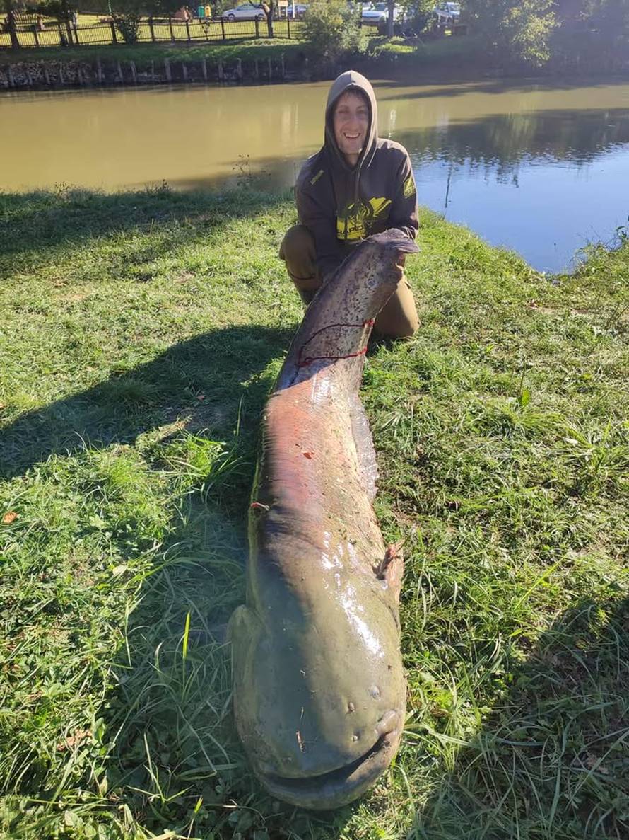 VIDEO 'Išli smo u lov na šarane, a onda je zagrizla ova grdosija! Dva sata smo se borili s njom'