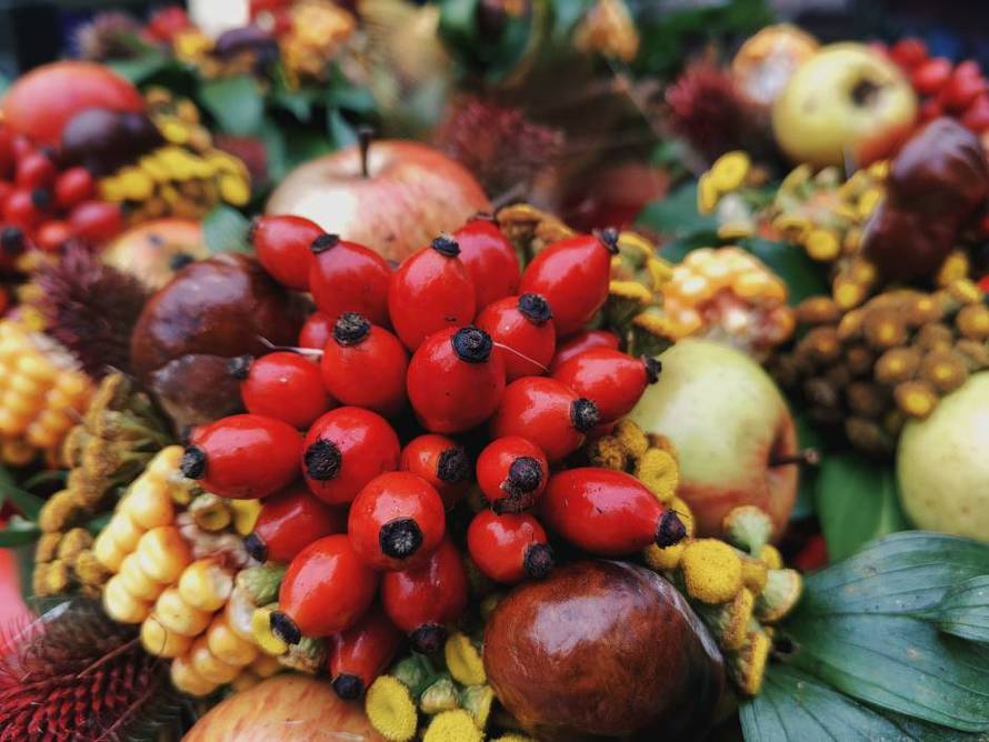 Goran Jović savjetuje kako uslikati fotografiju punu boja