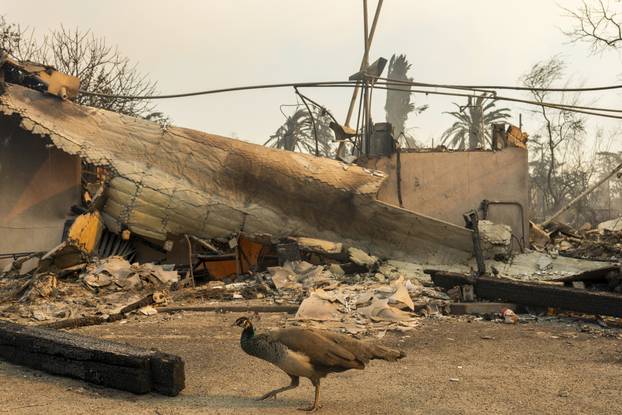 California Wildfires