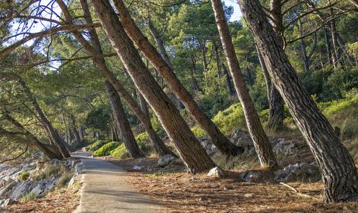 BBC nahvalio Lošinj: Iscjeljujući otok fantastične kvalitete zraka