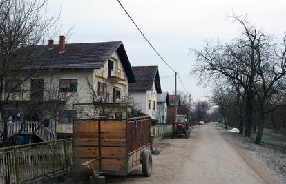 Susjedska svađa: Puškom mu ustrijelio  dva psa i dvije kobile 