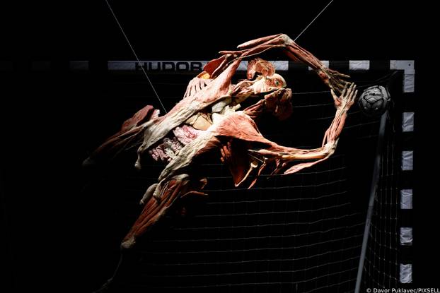 Zagreb: Konferencija uoči otvorenja izložbe seciranih ljudskih tijela Body Worlds Vital