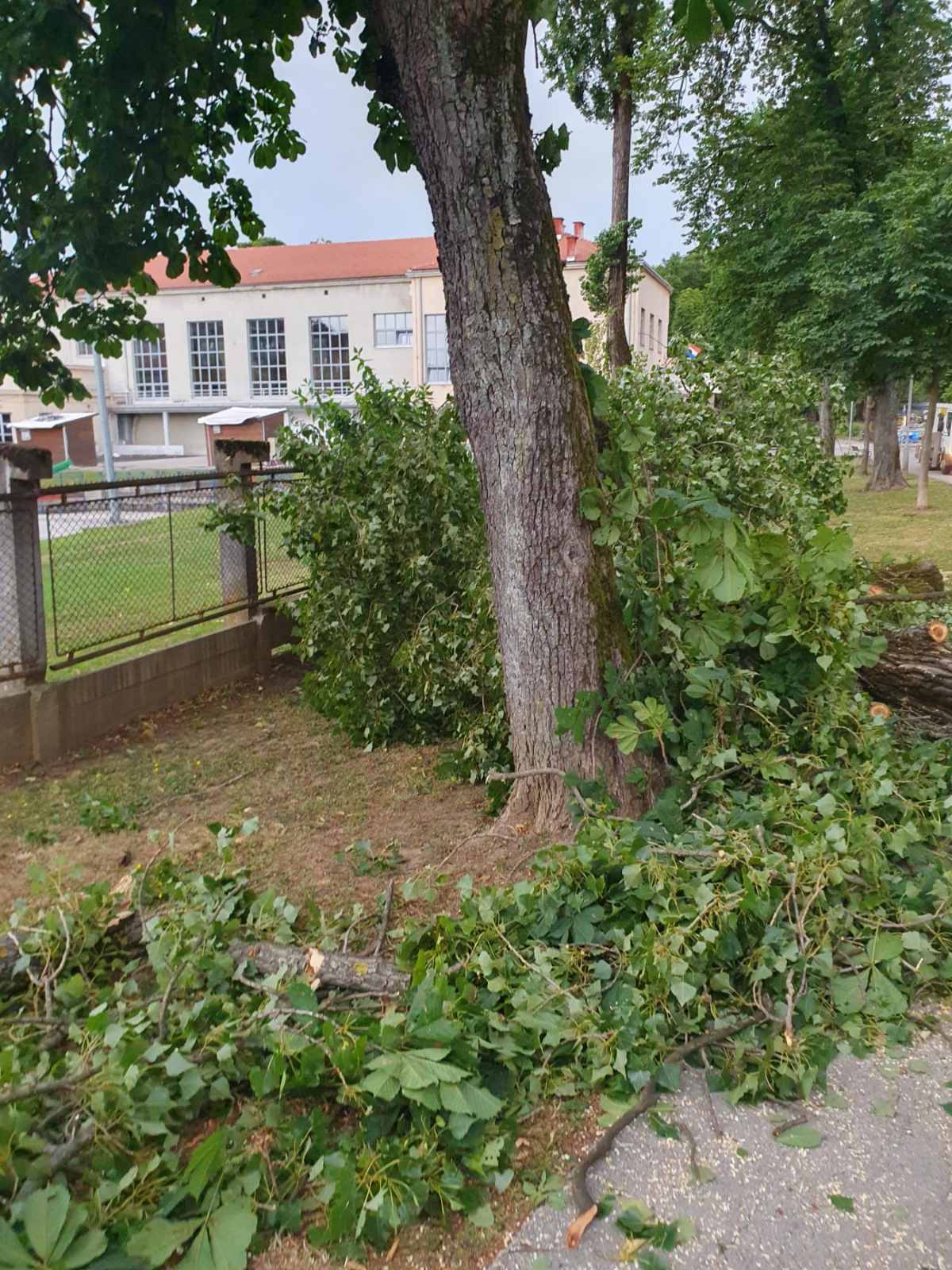 FOTO Nevrijeme u Karlovcu: Jak vjetar u par minuta napravio kaos, porušena brojna stabla