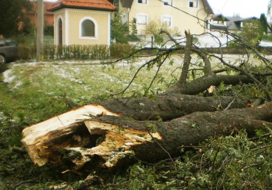 Anđelko Suhodolčan/24sata