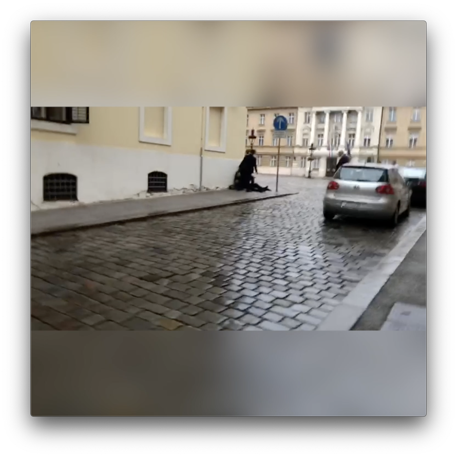 VIDEO Snimka nakon napada: Prolaznici su pomogli policajcu