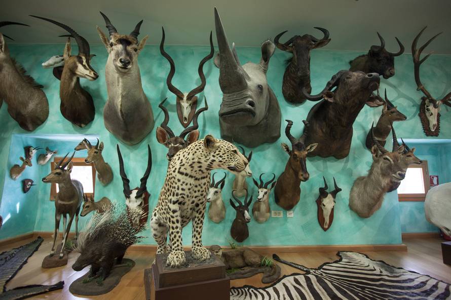 Nitko ne želi trofeje riječkog tajkuna: Djecu su užasavali...