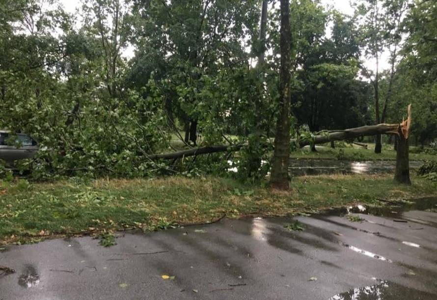Djevojku na satu vožnje ulovilo nevrijeme: 'Išli smo se skloniti i tada je na auto palo stablo...'
