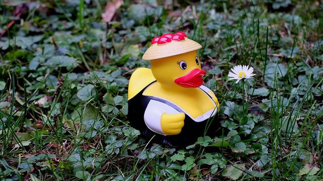 Rubber Duck Duck Black Forest Costume Funny