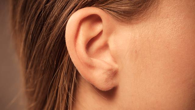 Oblik i dlakavost ušiju predviđa bolest i otkriva dužinu života