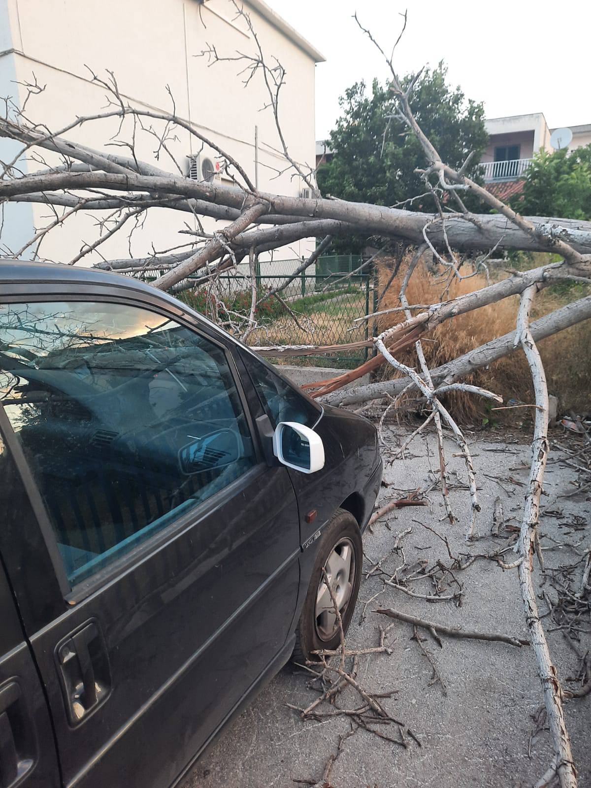 U Zagrebu i Splitu palo nekoliko stabala na ceste i aute, u Senju naleti bure od 153 km/h