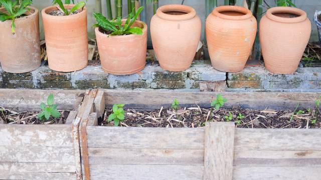 Birajte terakotu ili glinu, a ne plastične tegle za svoje biljke