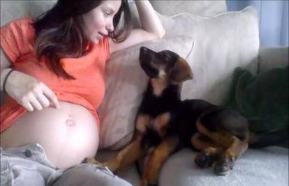 Oduševit će vas: Trudnica i pas razgovaraju o maloj bebi!