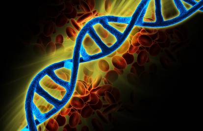 Danas je Dan DNK: Nasljedni gen prvo je pronađen u grašku